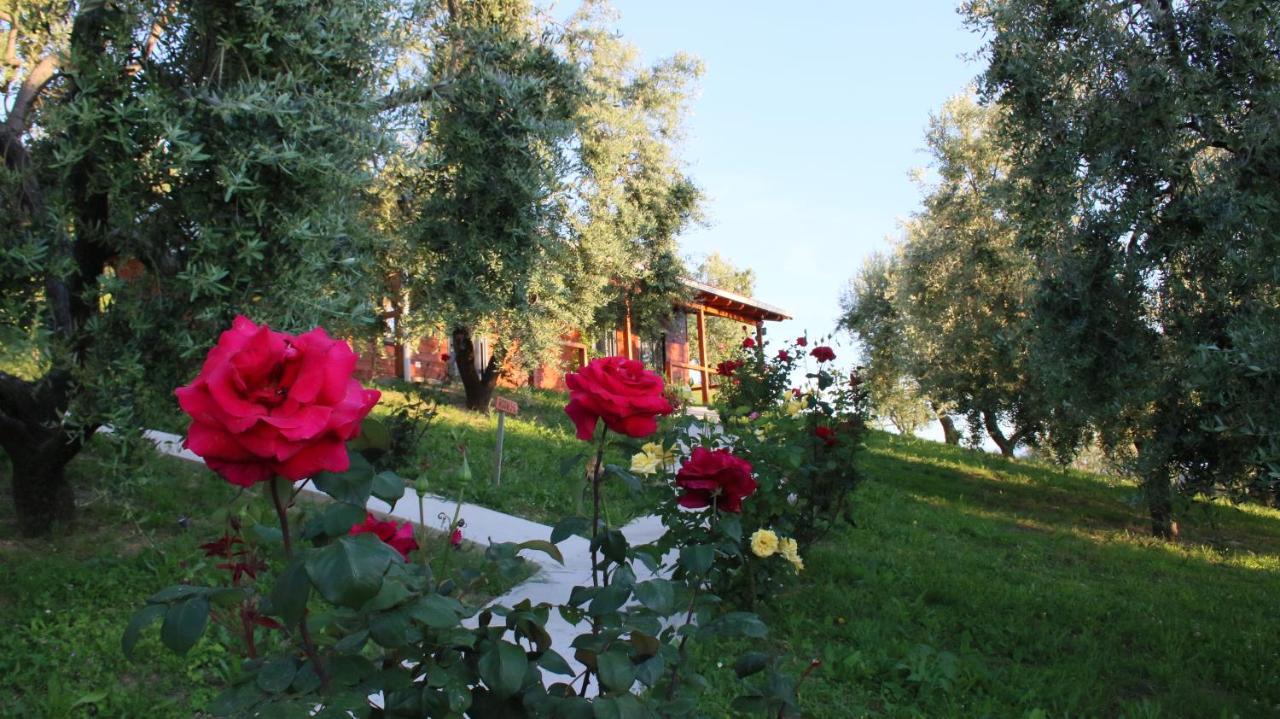 Hôtel Agroturizem Bylis à Hekal Extérieur photo