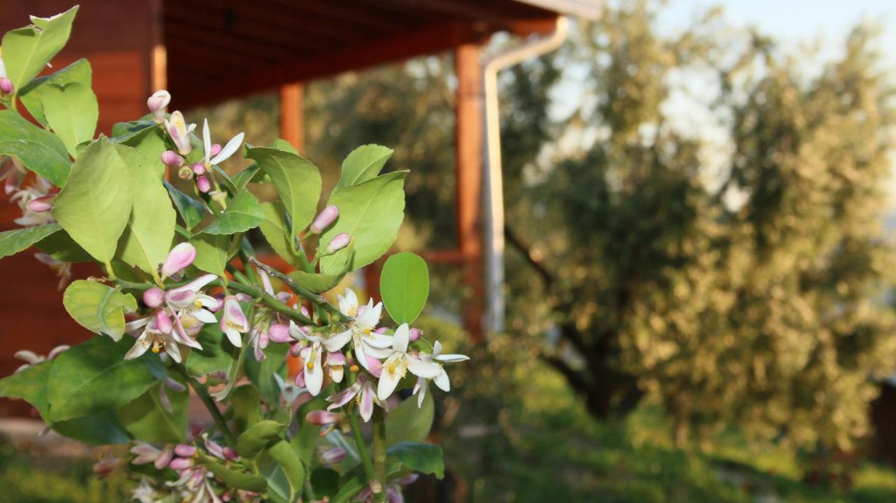 Hôtel Agroturizem Bylis à Hekal Extérieur photo